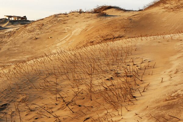 Paradisíacos, pero desiertos: así son los paisajes de la isla de Kunashir - Sputnik Mundo