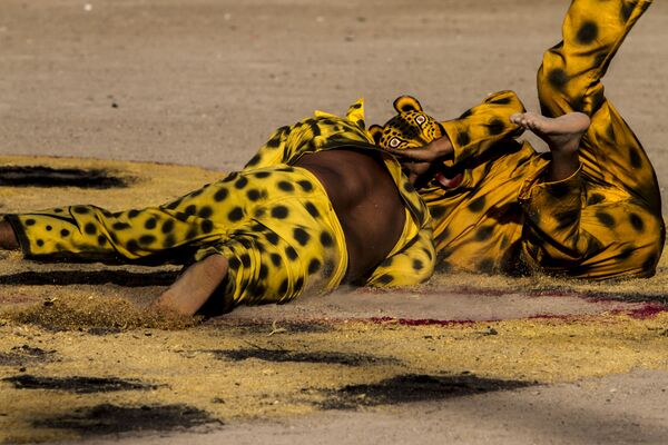 El tigre de Tequicorral pasó a la final del porrazo - Sputnik Mundo