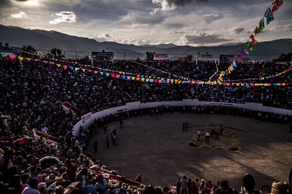 Plaza de toros Belisario Arteaga donde se llevó a cabo el porrazo - Sputnik Mundo