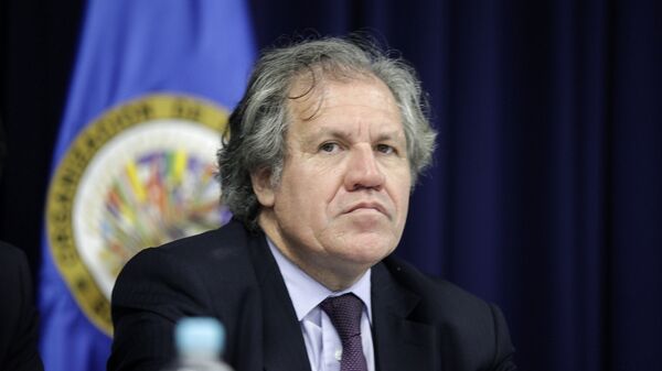 Luis Almagro, secretario general de la OEA  - Sputnik Mundo