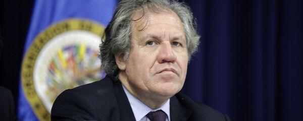 Luis Almagro, secretario general de la OEA (archivo) Luis Almagro, secretario general de la OEA (archivo) - Sputnik Mundo