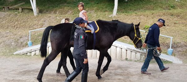 En Chilpancingo (México), la Policía Montada brinda una alternativa en la rehabilitación para personas con discapacidad - Sputnik Mundo