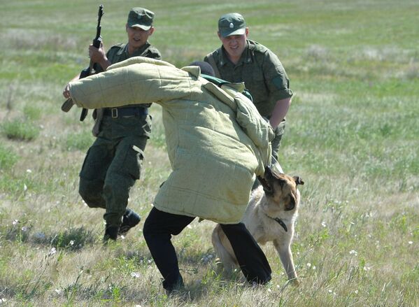 Un servicio difícil y peligroso: la jornada de los agentes de seguridad de Rusia - Sputnik Mundo