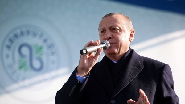 Recep Tayyip Erdogan, presidente de Turquía Recep Tayyip Erdogan, presidente de Turquía - Sputnik Mundo