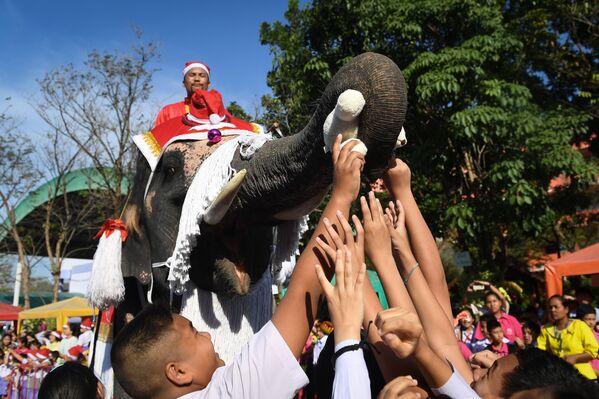 La Navidad inunda de esperanza el mundo cristiano - Sputnik Mundo