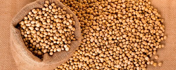 Las semillas de soja - Sputnik Mundo