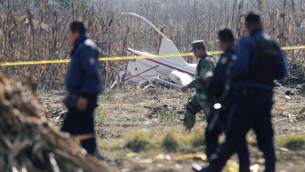 Lugar del siniestro del helicóptero en México - Sputnik Mundo