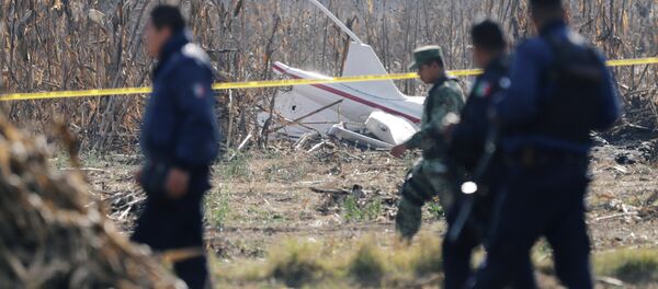 Lugar del siniestro del helicóptero en México - Sputnik Mundo