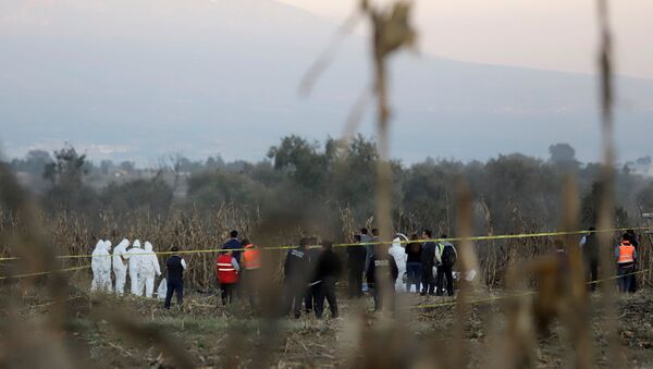 Lugar del siniestro del helicóptero en México - Sputnik Mundo