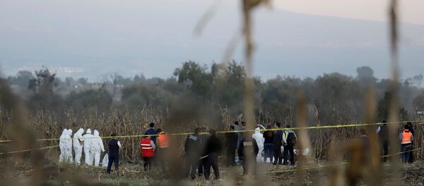 Lugar del siniestro del helicóptero en México - Sputnik Mundo