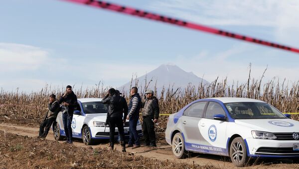 Lugar del siniestro del helicóptero en México - Sputnik Mundo