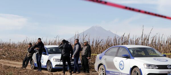 Lugar del siniestro del helicóptero en México - Sputnik Mundo