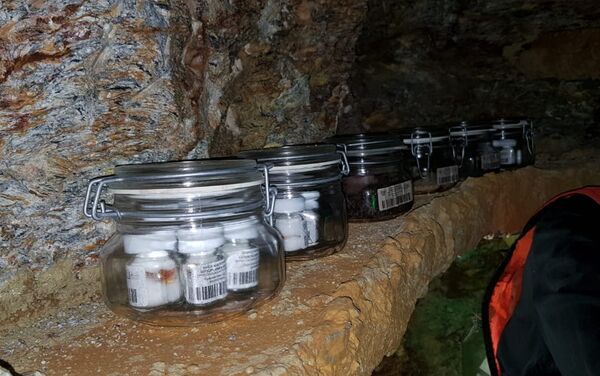 El único banco de semilla en su especie de preservación de la flor de la Cuetlaxóchitl para Guerrero y México El único banco de semilla en su especie de preservación de la flor de la Cuetlaxóchitl para Guerrero y México - Sputnik Mundo