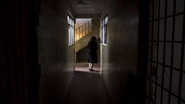 Guadalupe camina en el predio Emiliano Zapata #68 Guadalupe camina en el predio Emiliano Zapata #68 - Sputnik Mundo