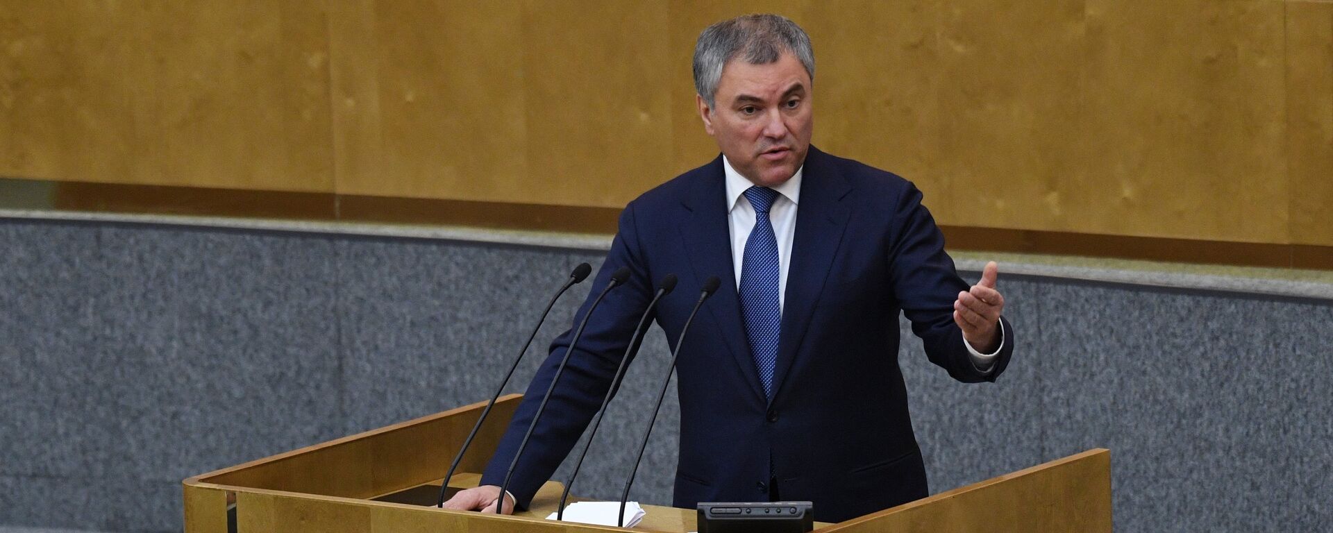 Viacheslav Volodin, presidente de la Duma de Estado de Rusia - Sputnik Mundo, 1920, 06.04.2022