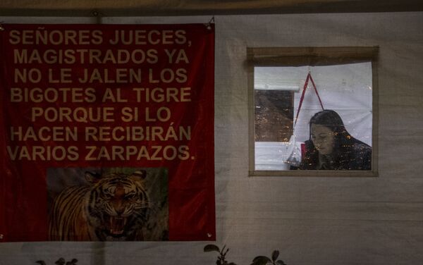 Mujer dentro de la carpa del plantón frente a la Suprema Corte de Justicia de la Nación - Sputnik Mundo
