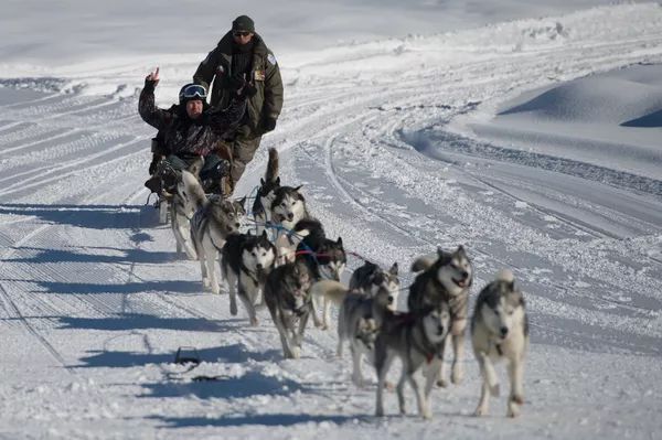 Un turista montando en trineo tirado por unos perros husky Un turista montando en trineo tirado por unos perros husky - Sputnik Mundo