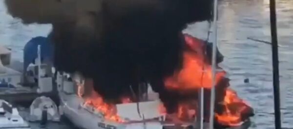 Una lancha pesquera explota en medio un puerto en México: momentos de horror - Sputnik Mundo