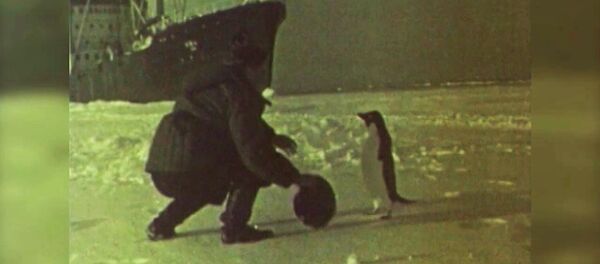 Así pisaron los soviéticos la Antártida por primera vez - Sputnik Mundo