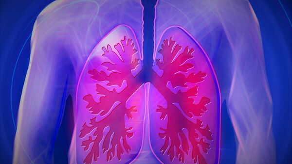 Los pulmones de una persona - Sputnik Mundo