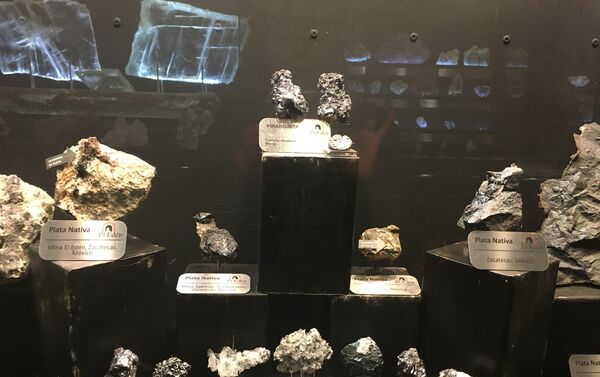 Las piedras expuestas en el museo de Las Rocas y Fósiles en Zacatecas, México - Sputnik Mundo