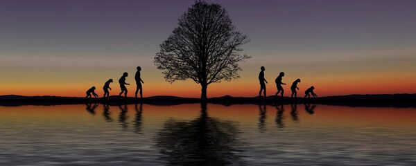 Evolución (imagen referencial) - Sputnik Mundo