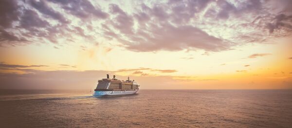 Un crucero (imagen ilustrativa) - Sputnik Mundo