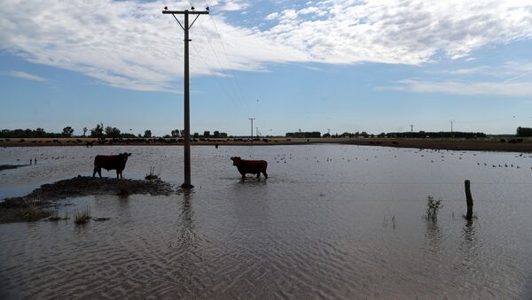 Inundaciones en Argentina - Sputnik Mundo