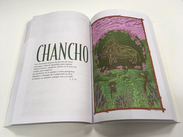 Una página del Horóscopo Chino dedicada al chancho, el cerdo - Sputnik Mundo