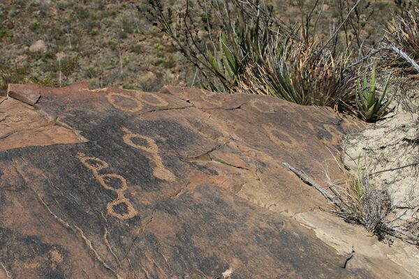 Petrograbados encontrados en el municipio mexicano de Mina, Nuevo León  - Sputnik Mundo
