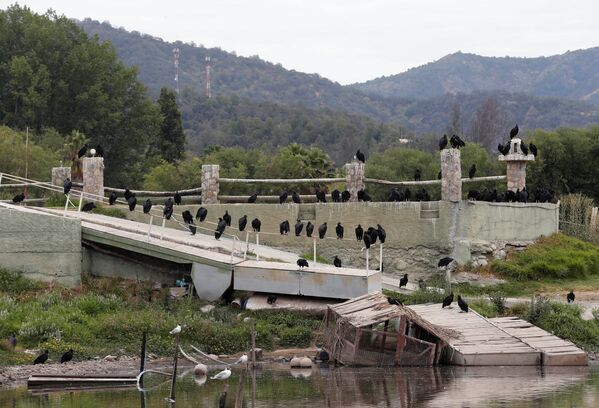 Por primera vez en 2.000 años: la laguna de Aculeo se seca completamente en Chile - Sputnik Mundo