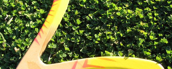 Un bumerán (imagen referencial) - Sputnik Mundo