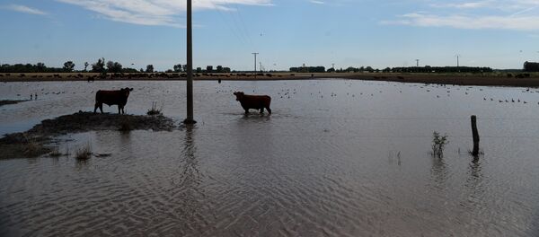 Un campo inundado en la provincia de Buenos Aires - Sputnik Mundo