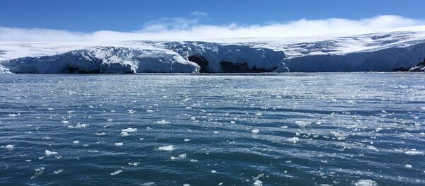 Hielo derretido en Antártida - Sputnik Mundo