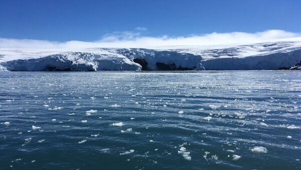 Hielo derretido en Antártida - Sputnik Mundo