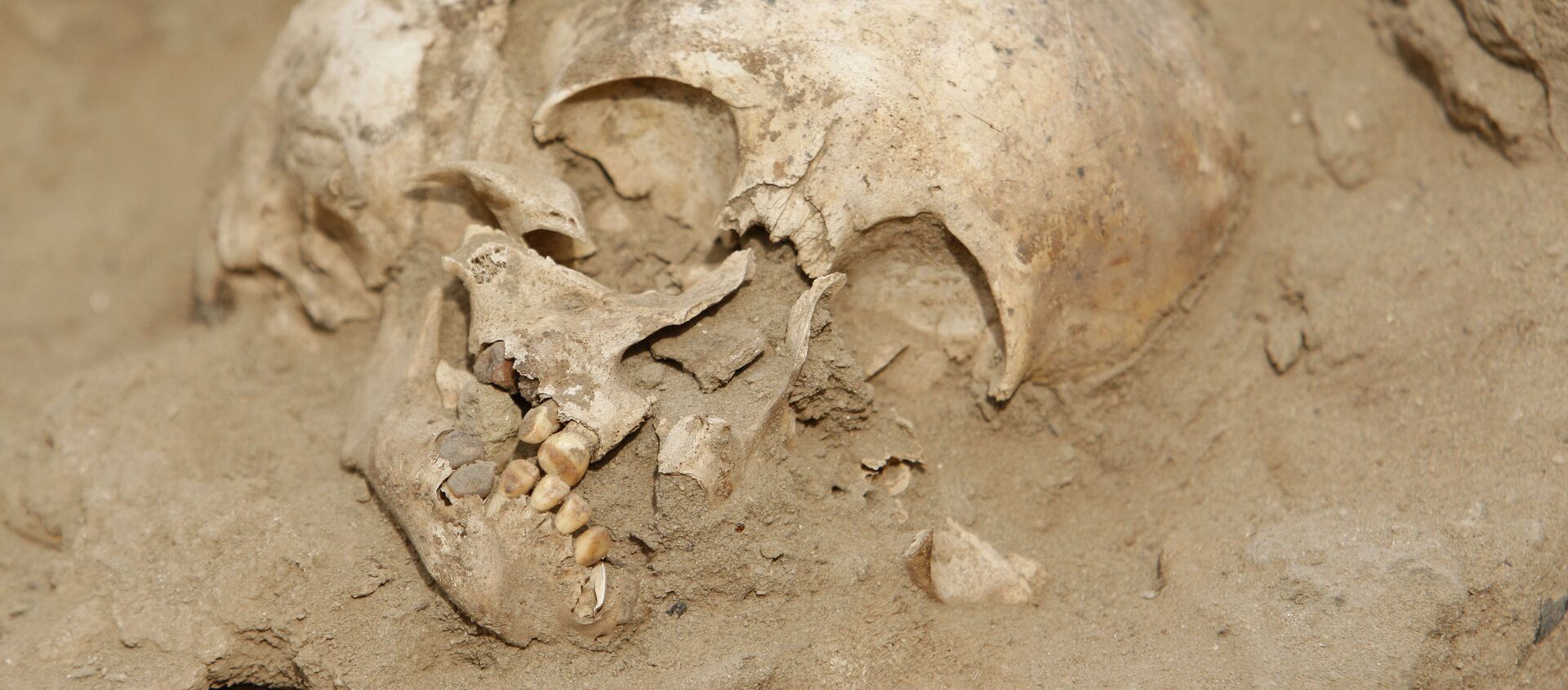 Restos de niños de la cultura precolombina Chimú (Archivo) - Sputnik Mundo, 1920, 15.01.2019