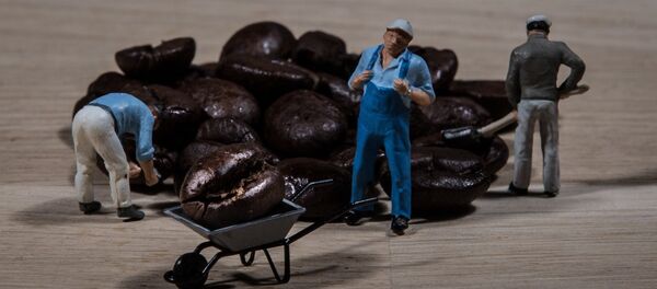 Granos de café - Sputnik Mundo