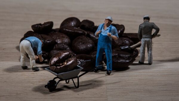 Granos de café - Sputnik Mundo