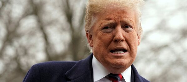 Donald Trump, presidente de EEUU - Sputnik Mundo