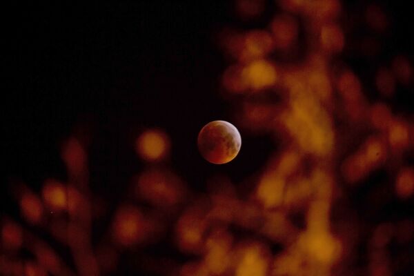 La luna roja se apodera del cielo - Sputnik Mundo