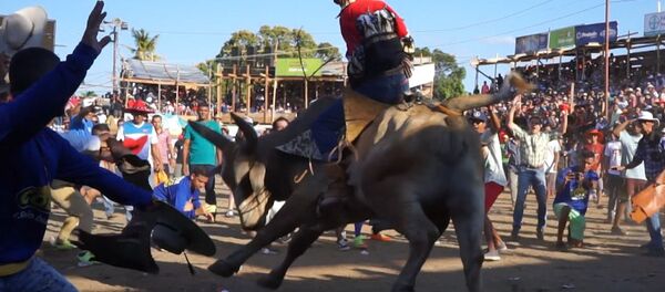 Una corrida de toros en Costa Rica - Sputnik Mundo