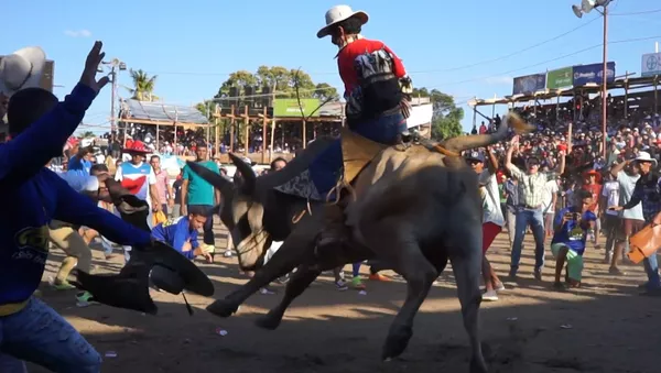 Una corrida de toros en Costa Rica