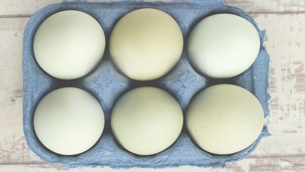 Seis huevos - Sputnik Mundo