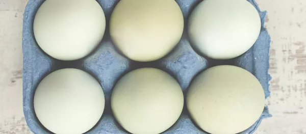 Seis huevos Seis huevos - Sputnik Mundo