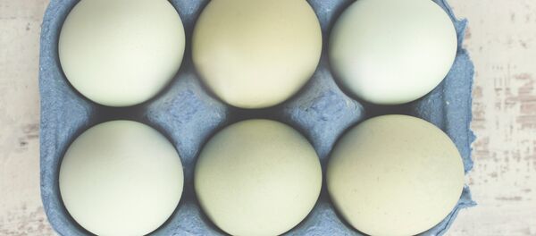 Seis huevos - Sputnik Mundo