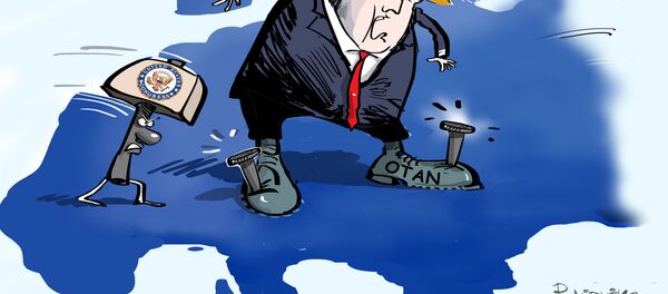 El Congreso de EEUU engancha a Trump a la OTAN - Sputnik Mundo