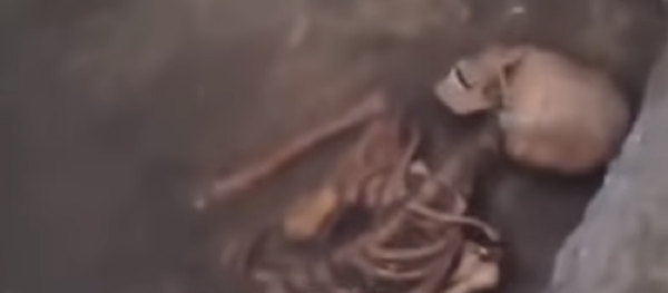 Hallan un esqueleto con cráneo alienígena en el sur de Rusia - Sputnik Mundo