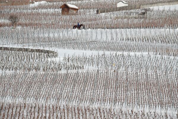 Como en una fábula: 15 magníficos paisajes invernales que jamás habías visto - Sputnik Mundo