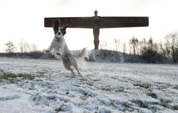 Como en una fábula: 15 magníficos paisajes invernales que jamás habías visto - Sputnik Mundo