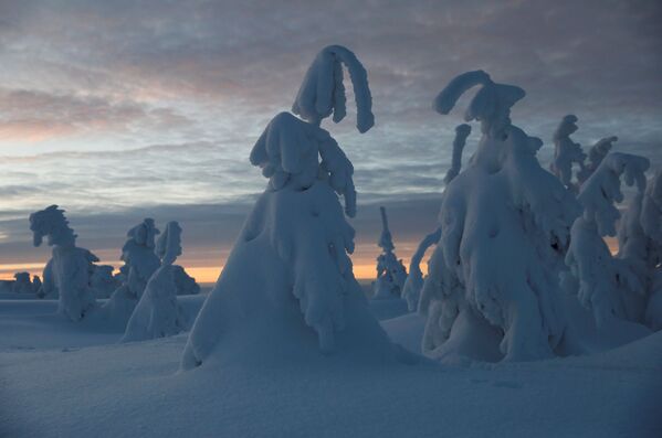 Como en una fábula: 15 magníficos paisajes invernales que jamás habías visto - Sputnik Mundo